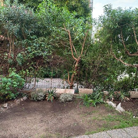 Appartamento Con Giardino A 50 M Dal Mare LʼÎle-Rousse Extérieur photo