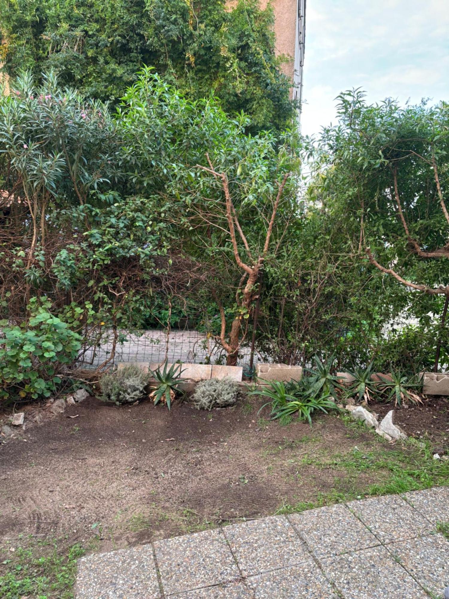 Appartamento Con Giardino A 50 M Dal Mare LʼÎle-Rousse Extérieur photo